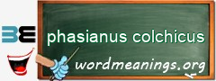 WordMeaning blackboard for phasianus colchicus